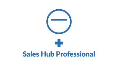 SalesHub-Professional